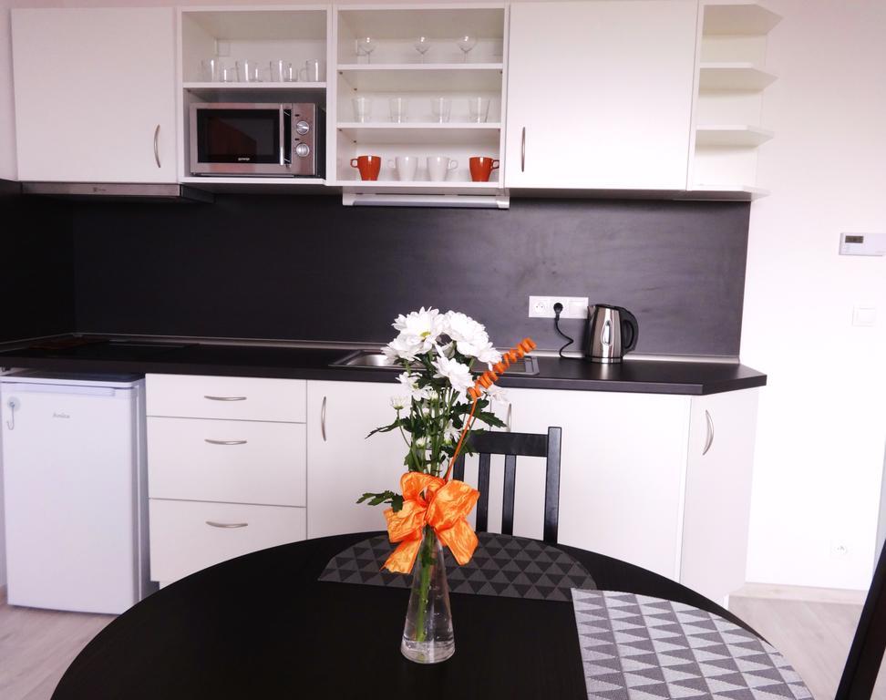 Apartments 4U Center + Free Parking Olomouc Esterno foto